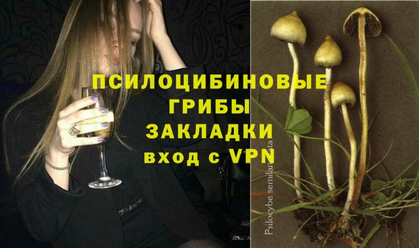 MESCALINE Аркадак
