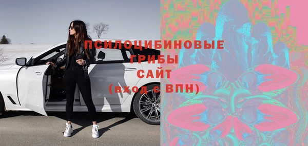 экстази Арсеньев
